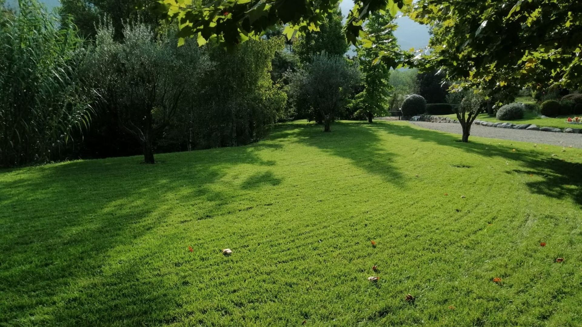 Mantenimiento de jardines Mantenimiento de jardines