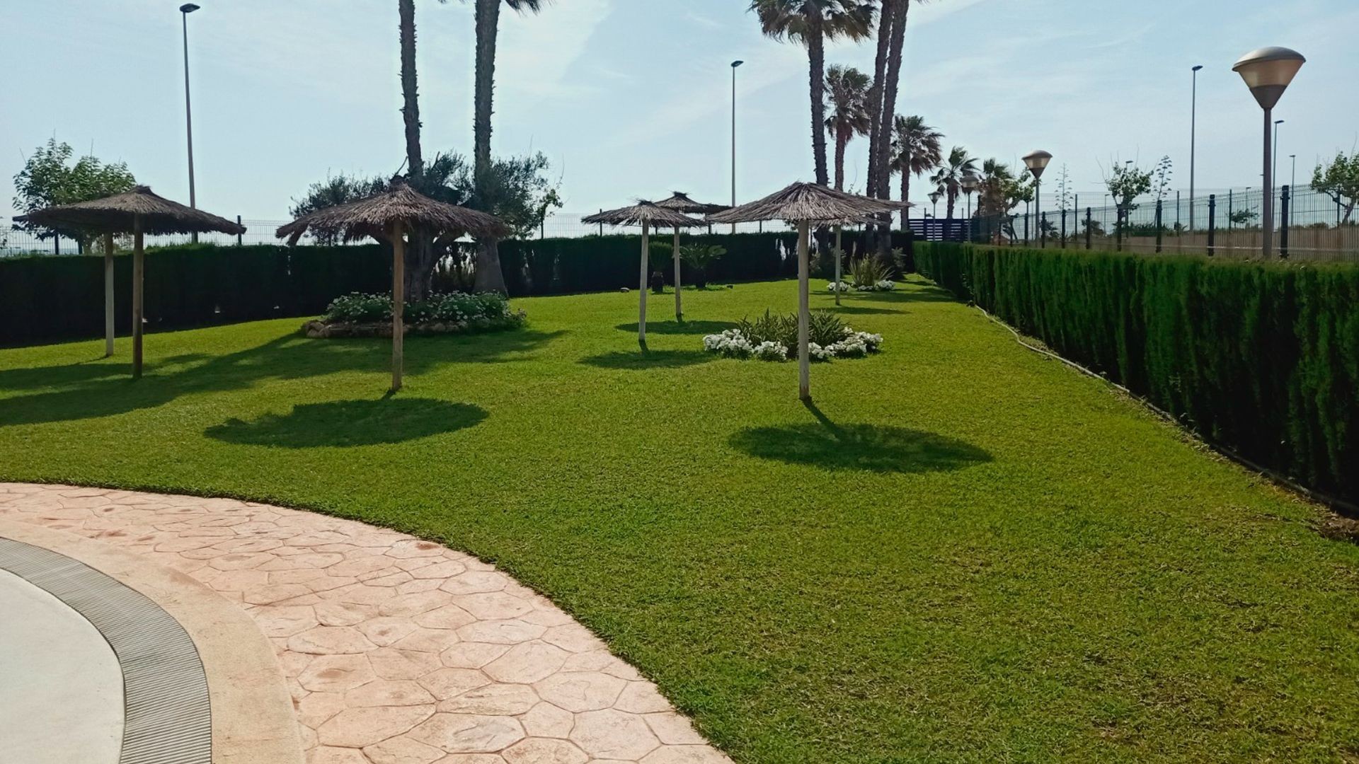 Mantenimiento de jardines y piscinas en Murcia