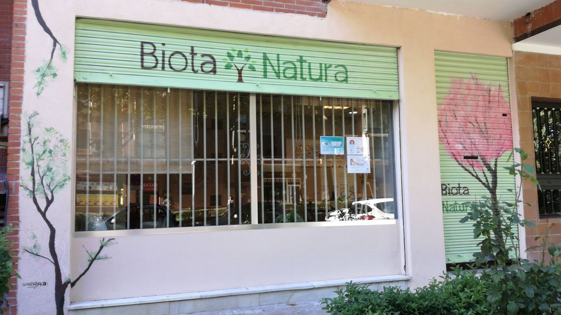 Naturopatía
