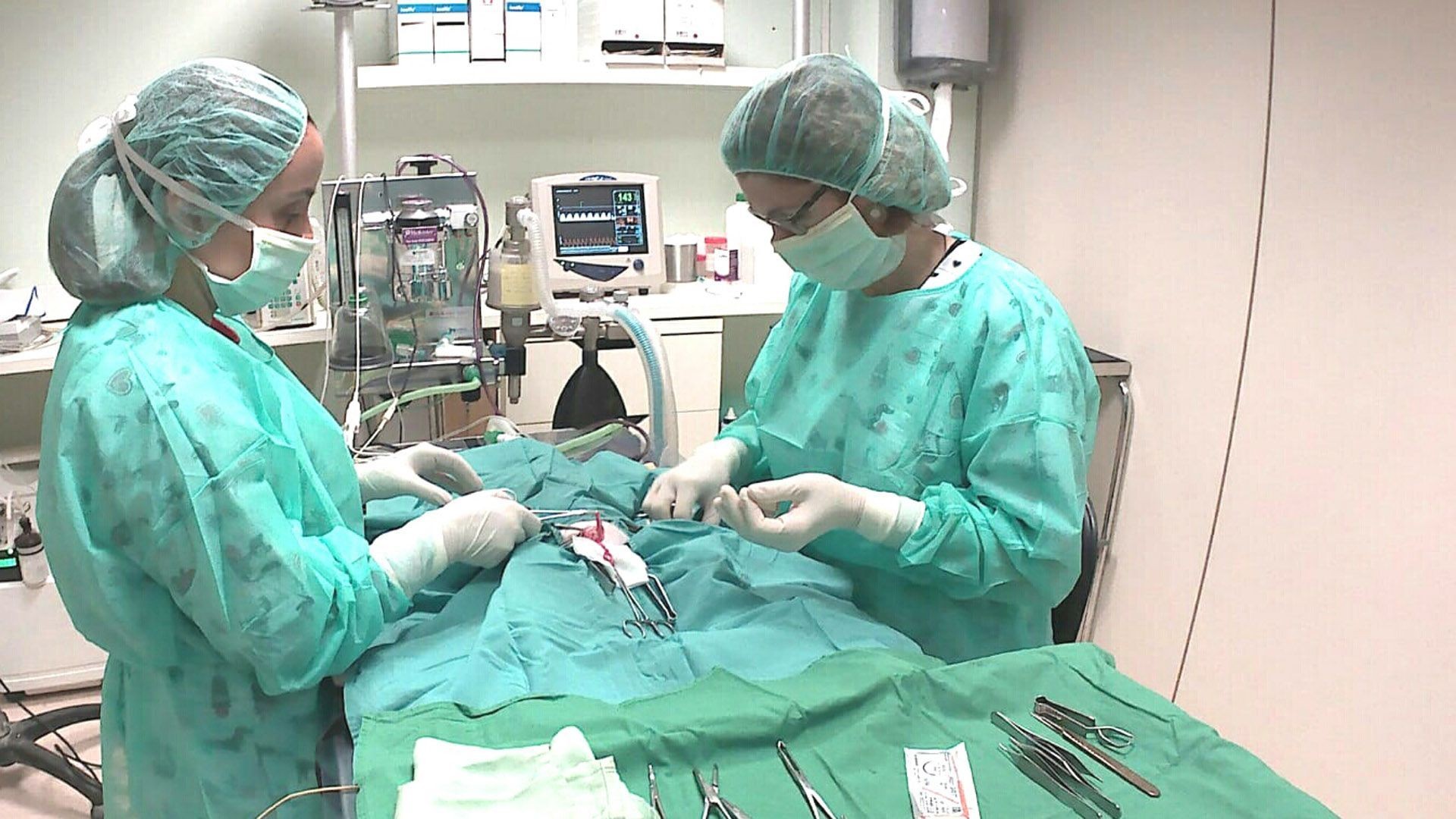 Clínica veterinaria Mataró