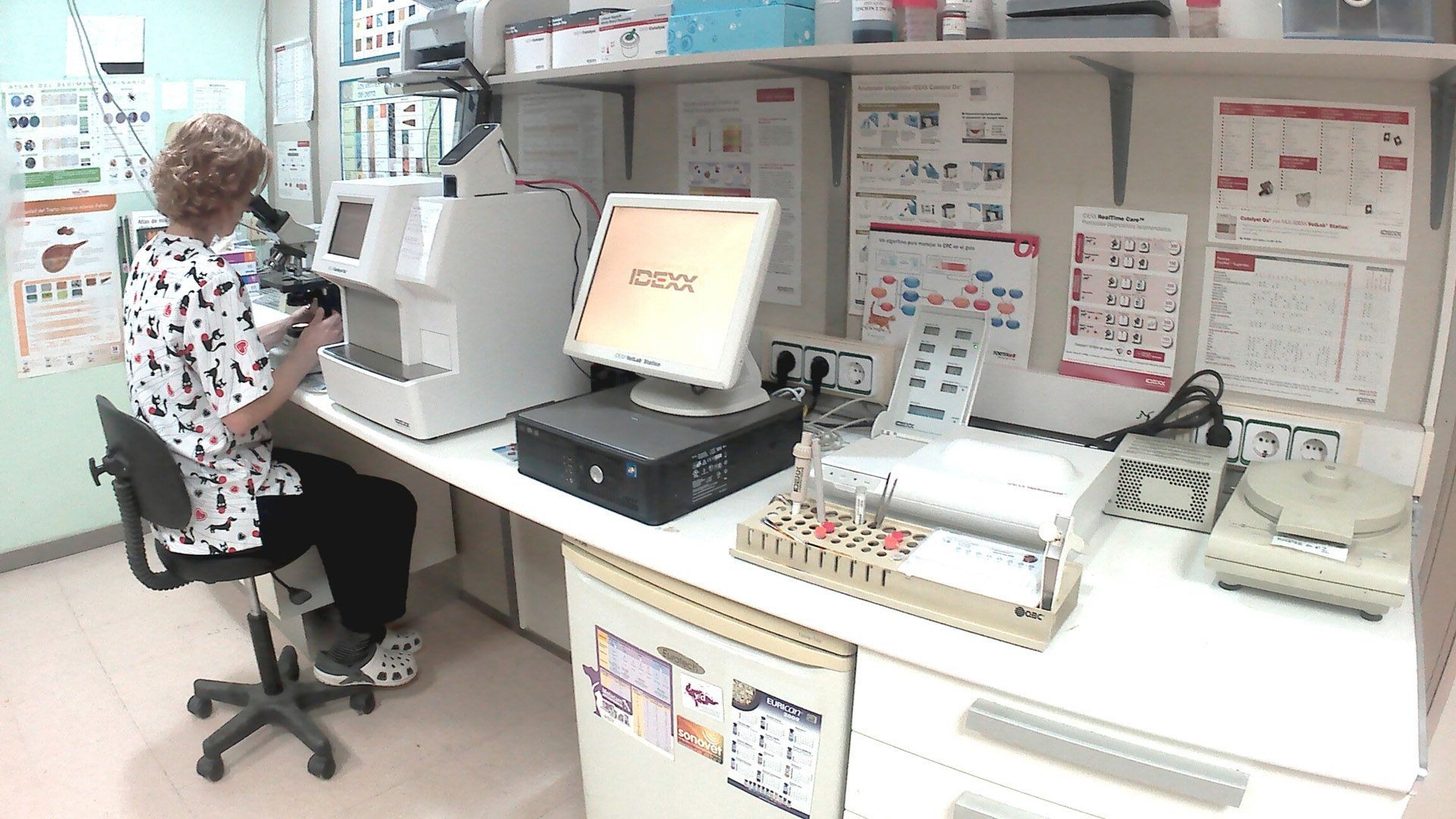 Veterinarios Mataró Veterinarios Mataró