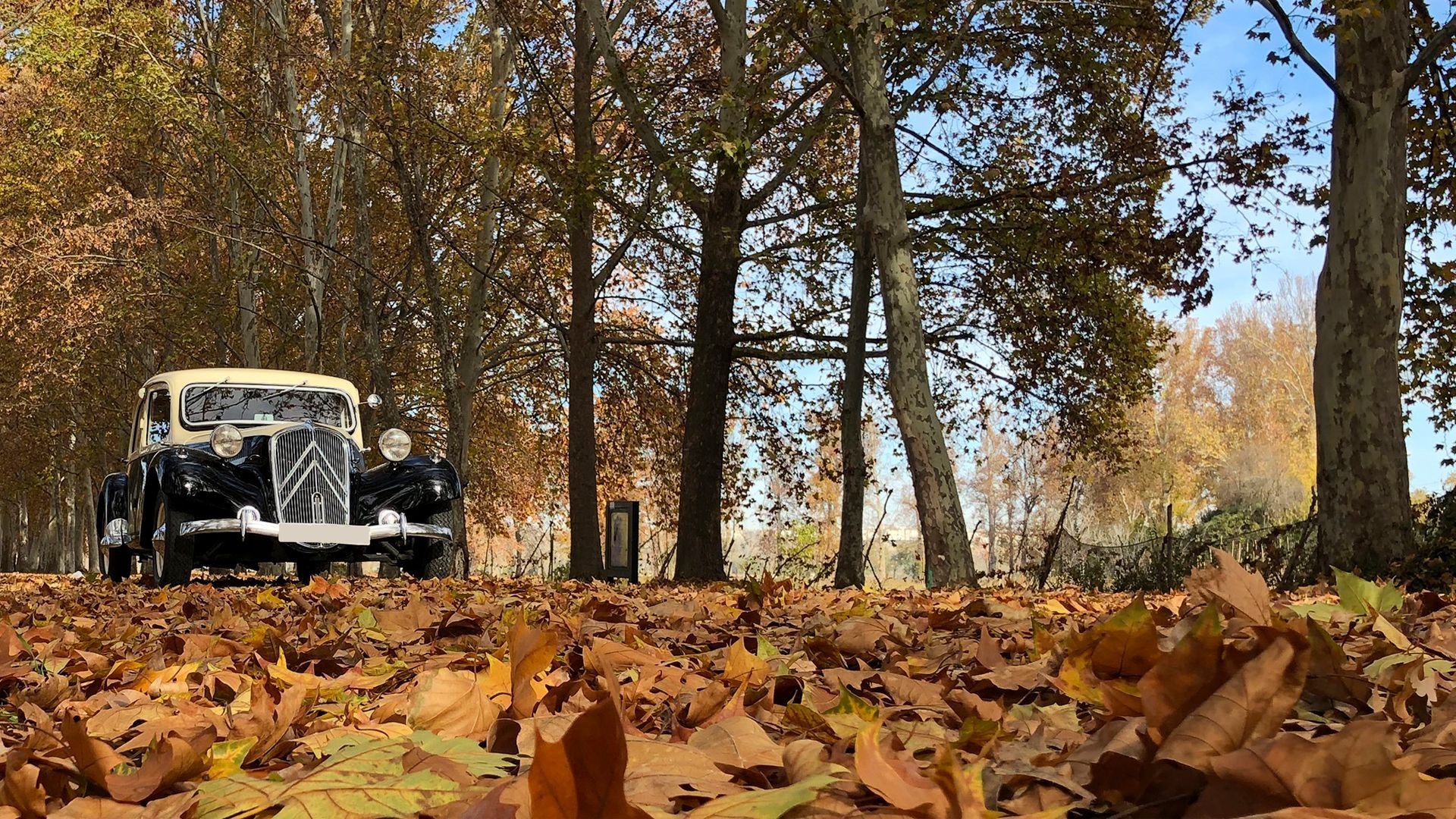Alquiler de vehículos clásicos para bodas y eventos en Getafe Alquiler de vehículos clásicos para bodas y eventos en Getafe