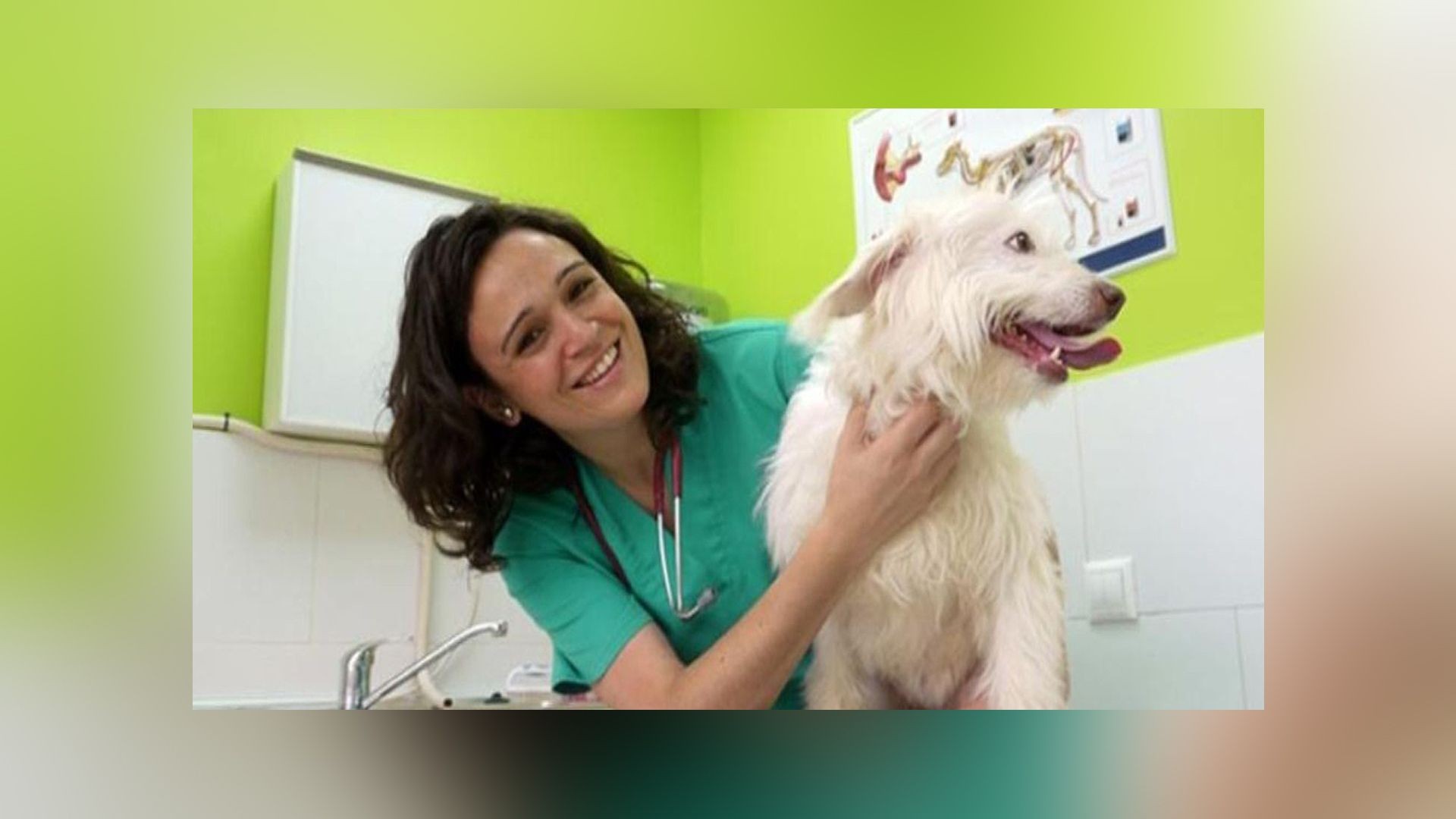 Clinica veterinaria en La Pobla de Valbona