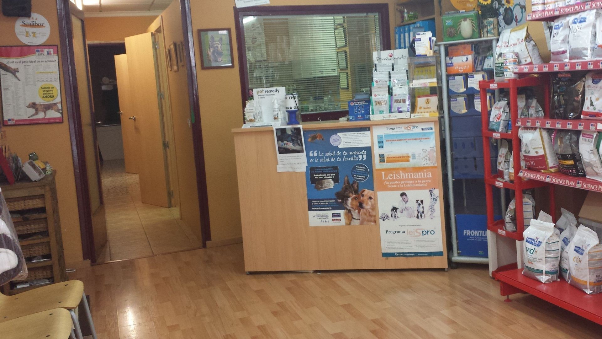 Veterinarios en Calpe Veterinarios en Calpe