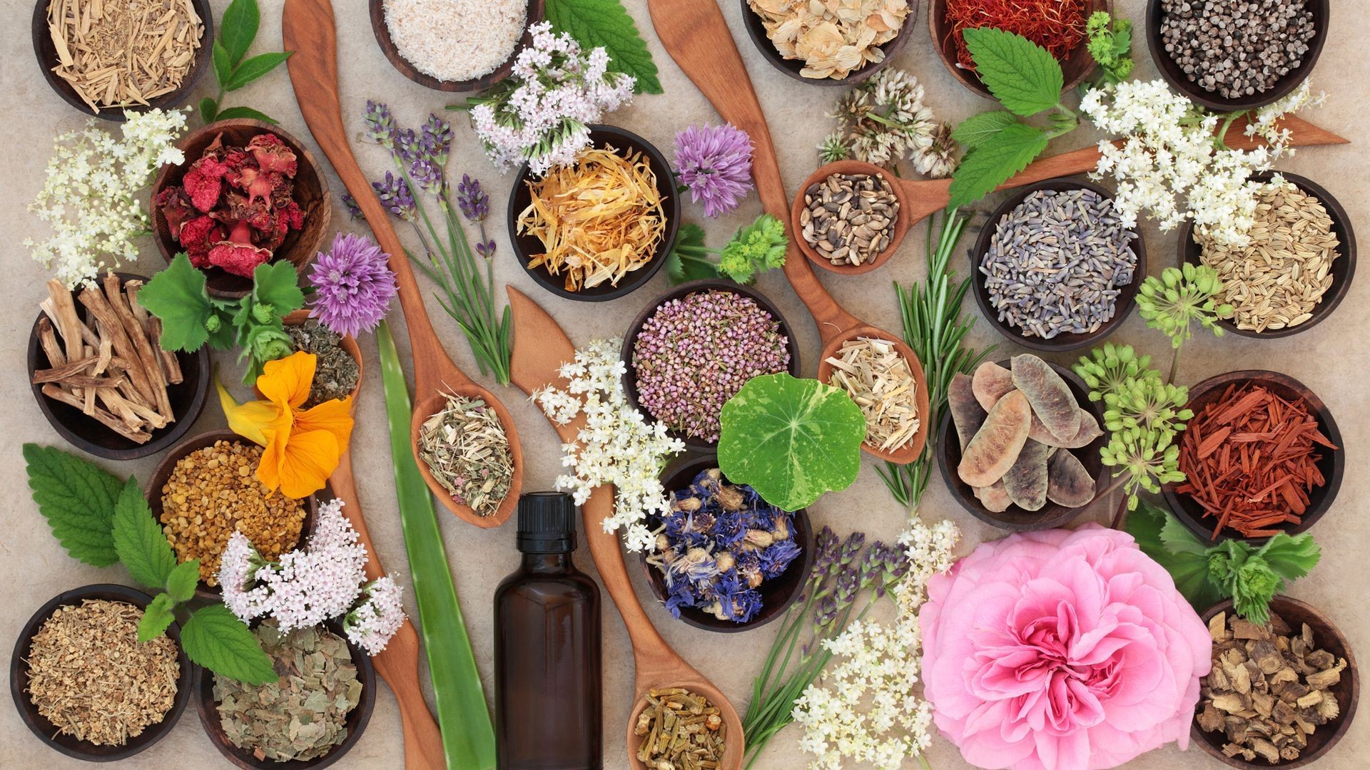 hierbas medicinales Terrassa hierbas medicinales Terrassa