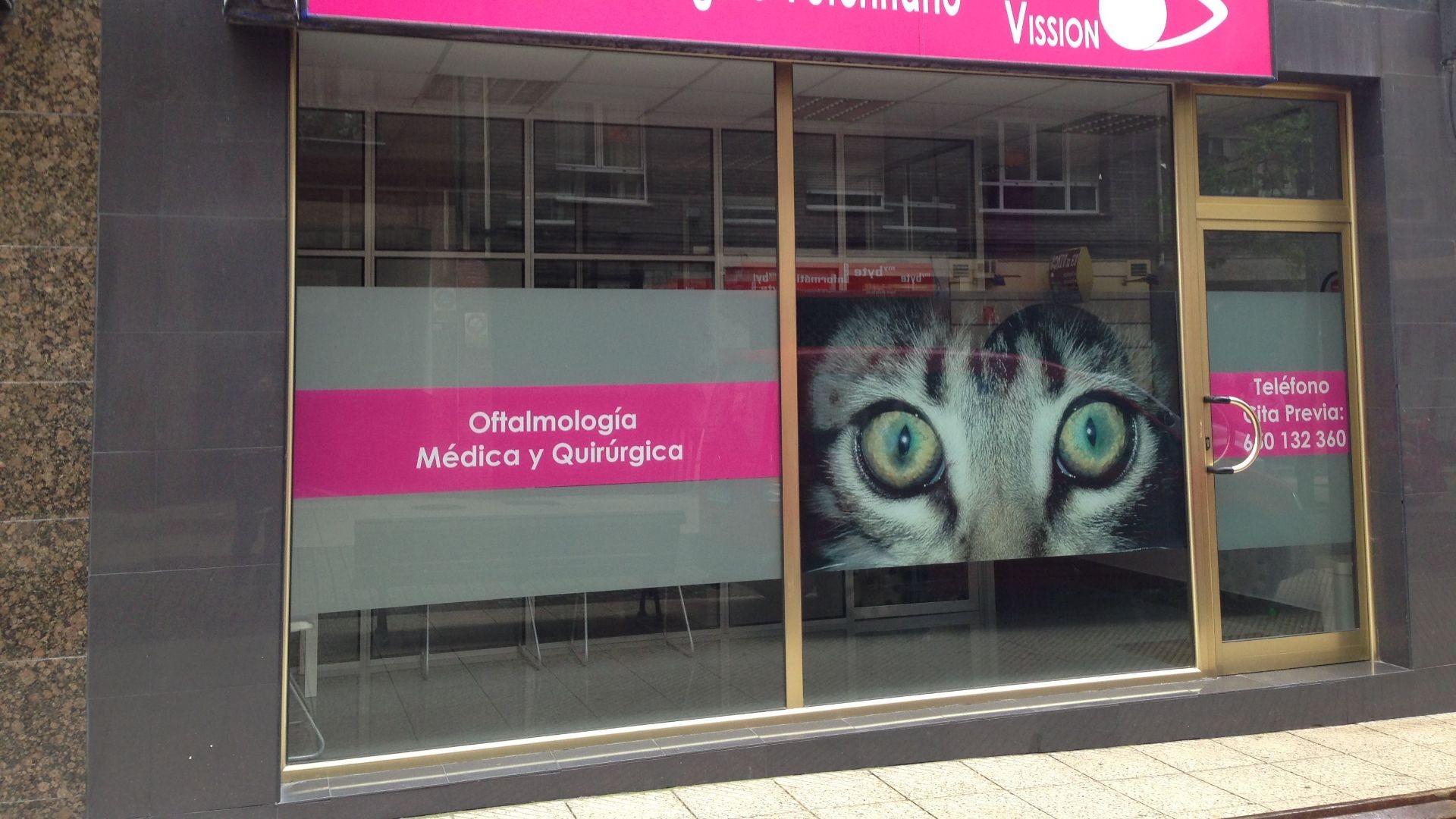 Oftalmólogo gatos oviedo Oftalmólogo gatos oviedo