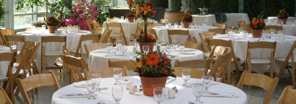 business image