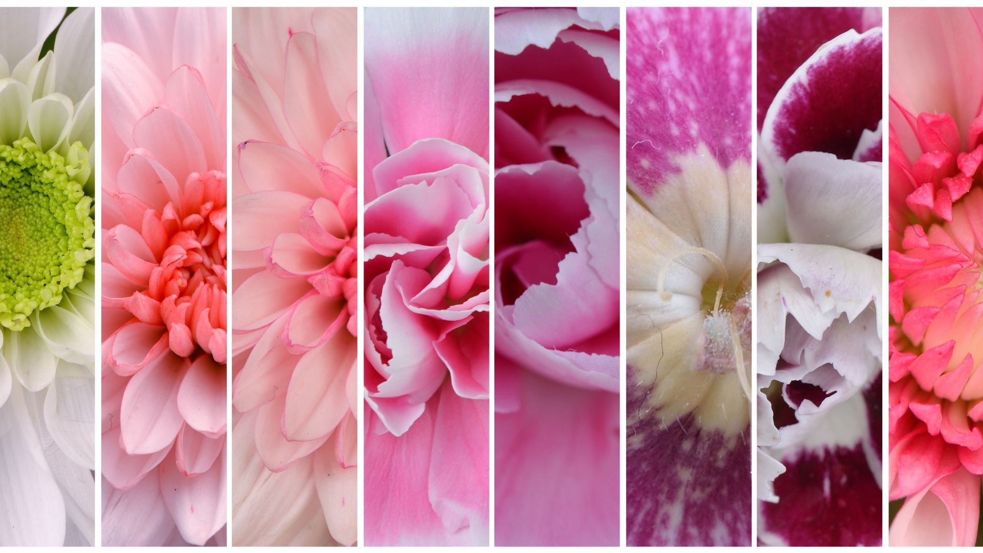 iStock-522478592 iStock-522478592