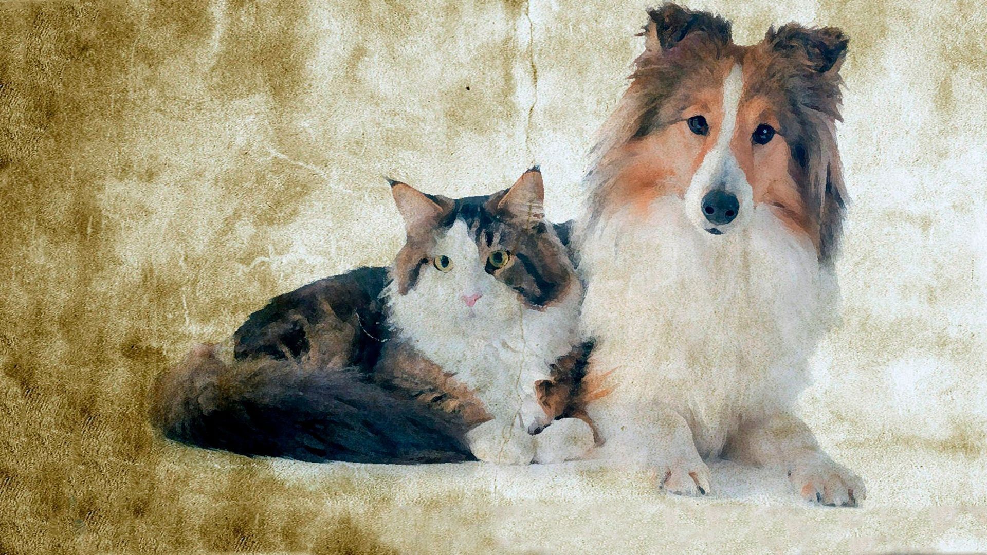 Clínica veterinaria en Torremolinos Clínica veterinaria en Torremolinos