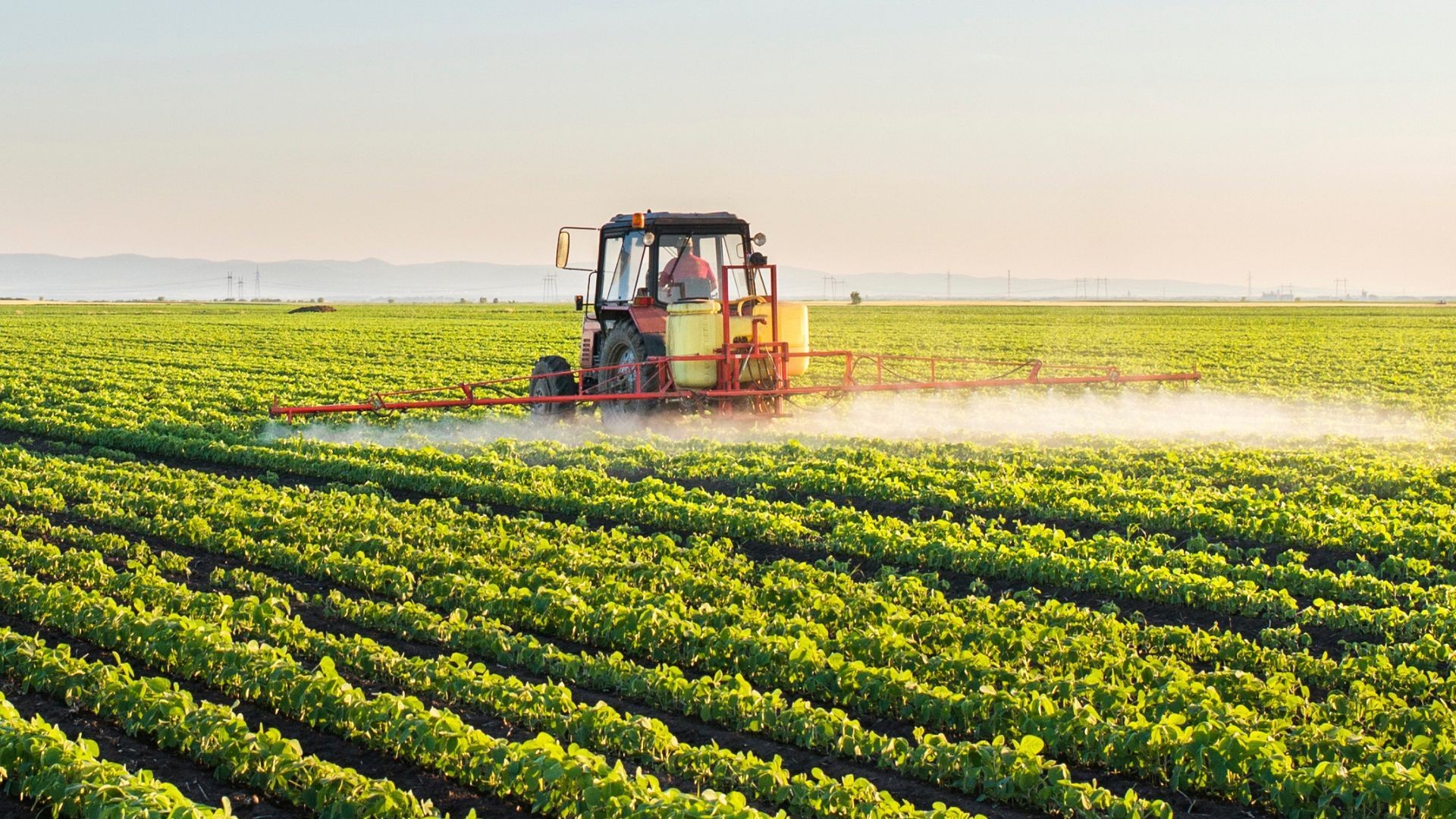Venta de suministros agrícolas en El Ejido Venta de suministros agrícolas en El Ejido