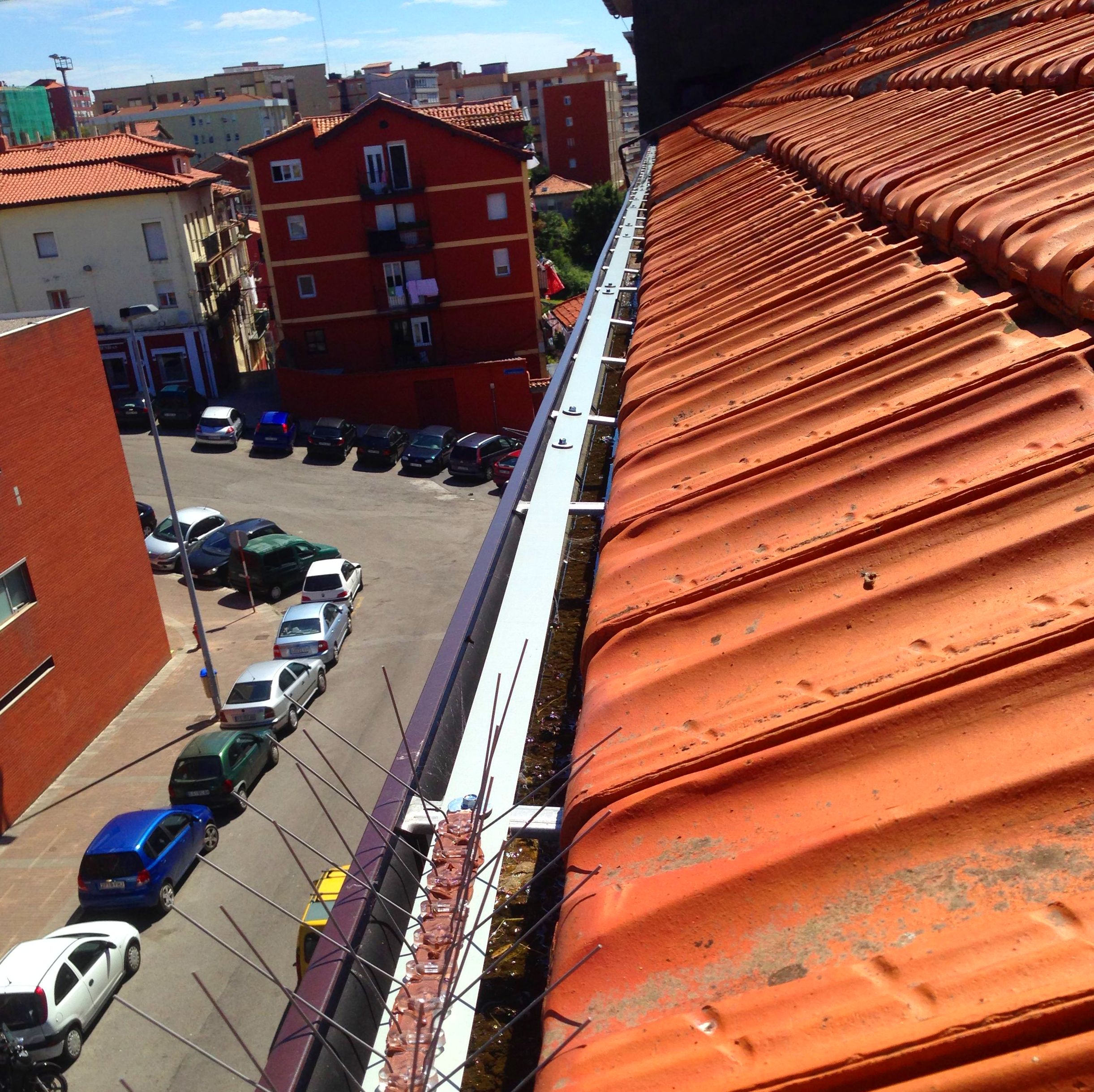 Colocación de sistemas antipalomas y líneas de vida eventuales Cantabria.