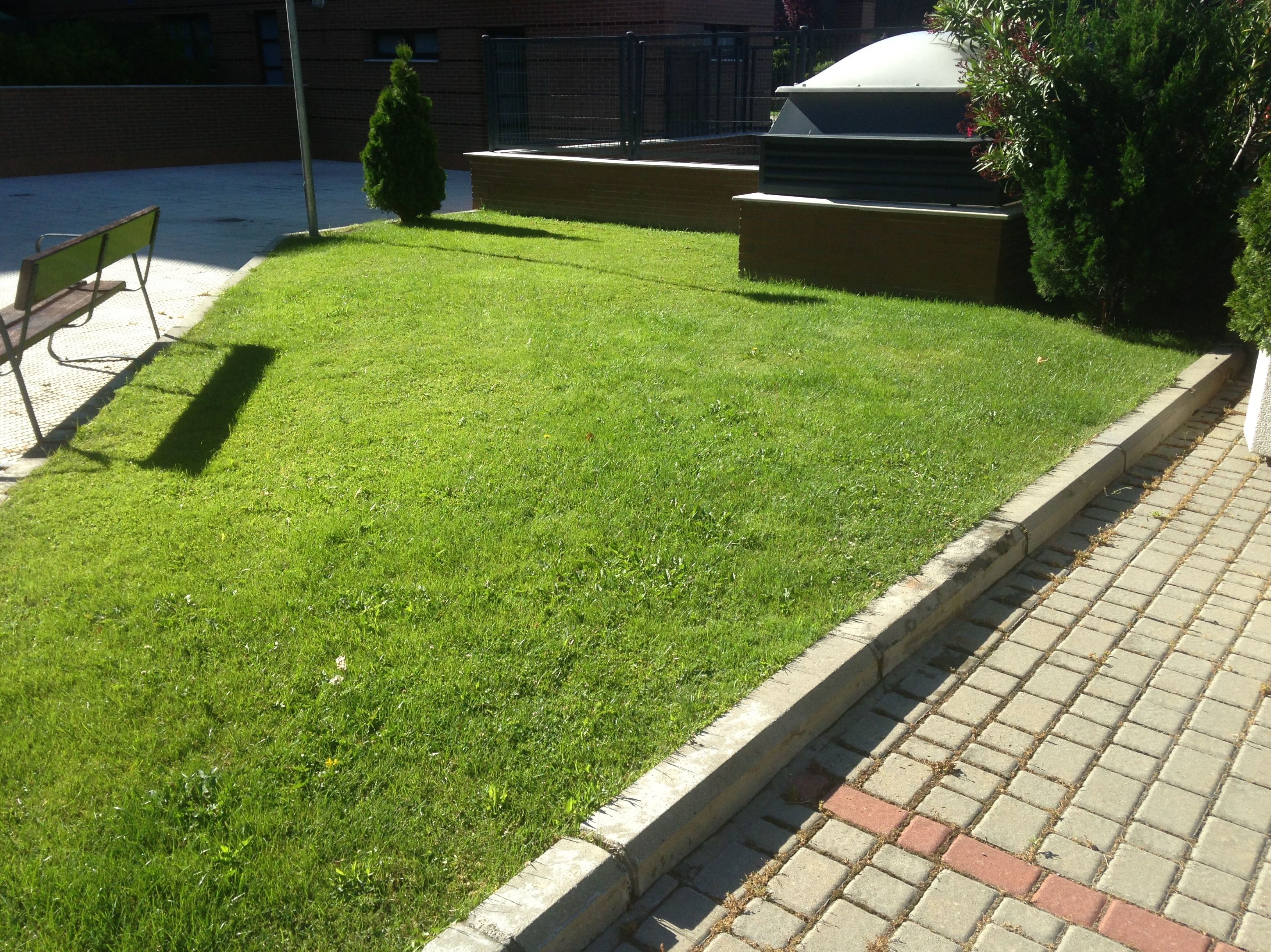 Empresa de jardinería en Tres Cantos