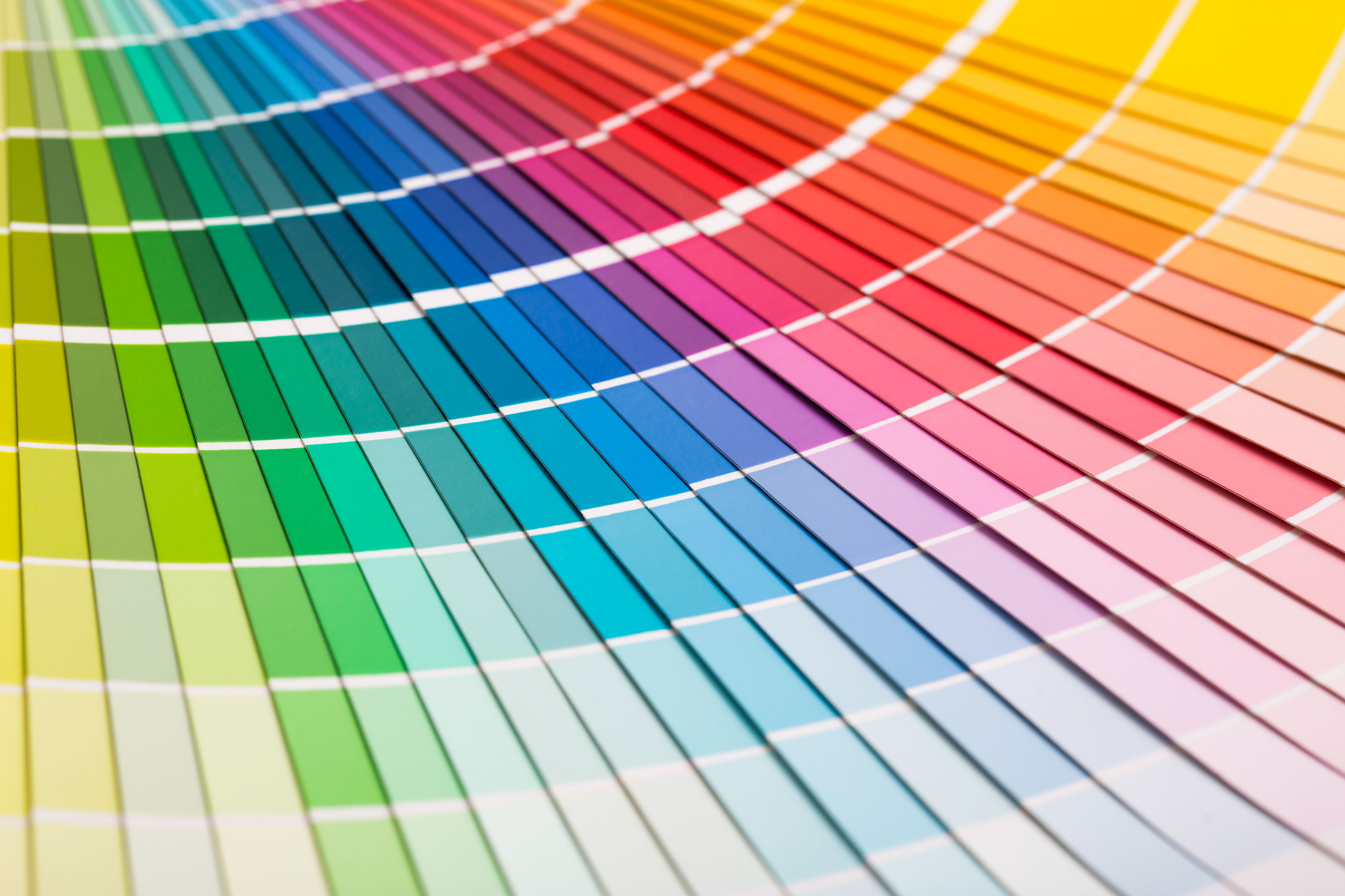 Estudio de coloración: Servicios de Paco Ruiz Pintors Estudio de coloración: Servicios de Paco Ruiz Pintors