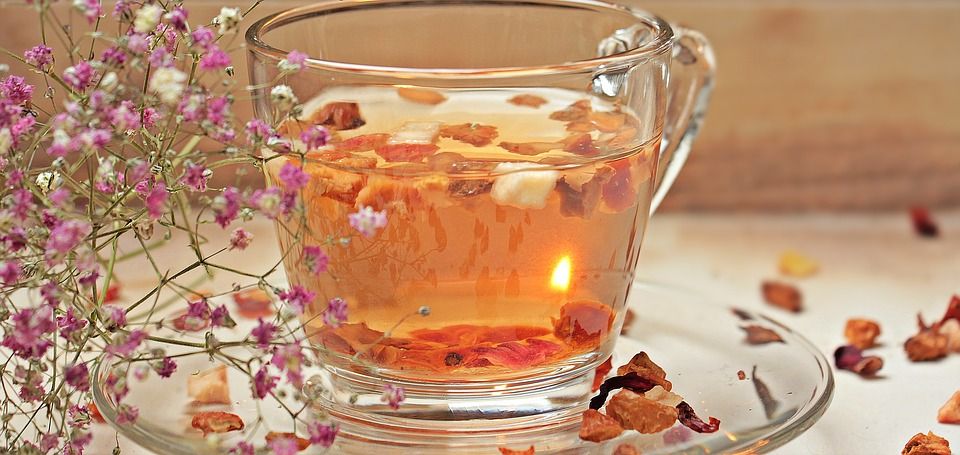 Infusiones: Servicios de Orgànic Infusiones: Servicios de Orgànic