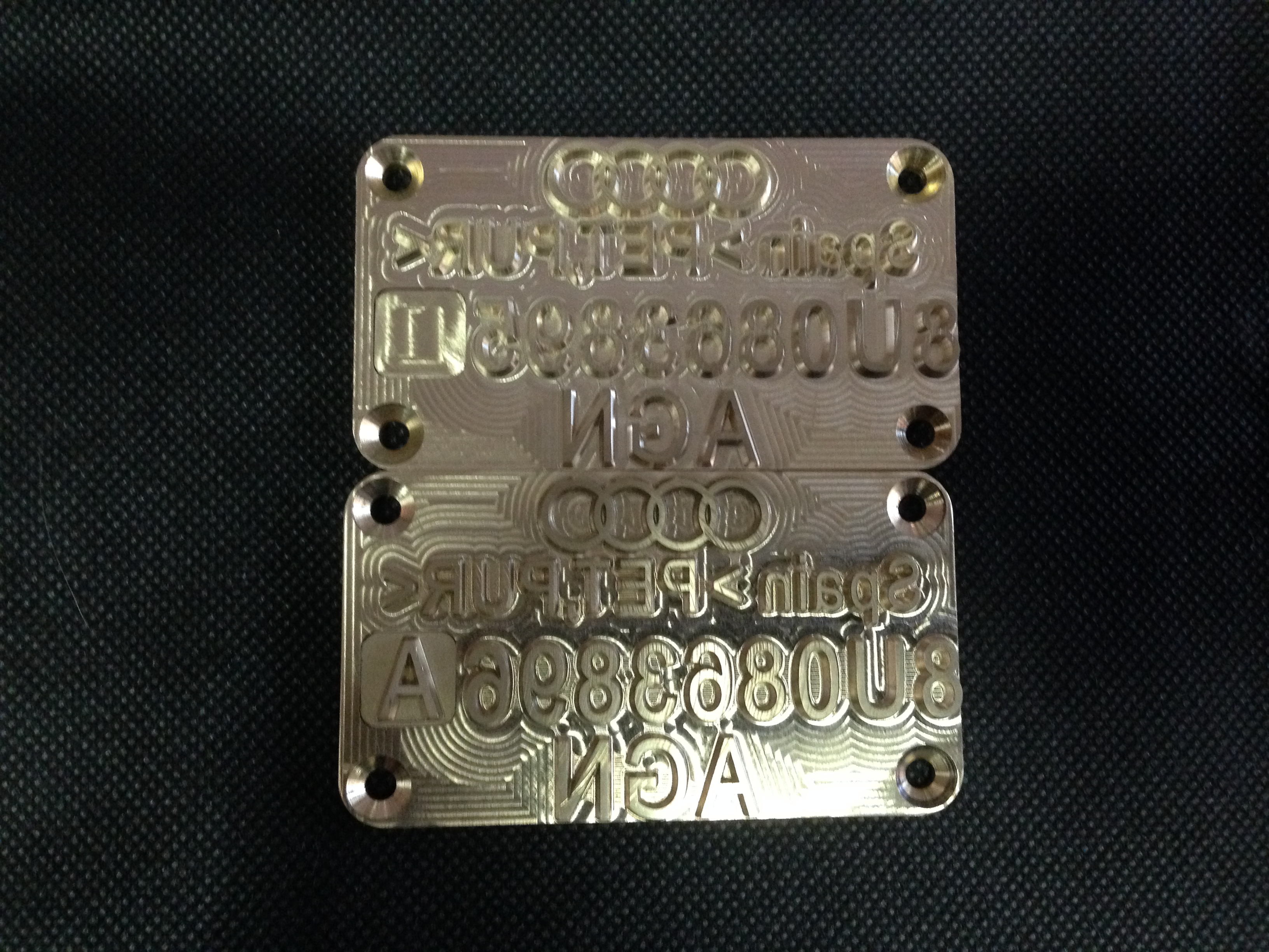 placa audi termo conformado.jpg placa audi termo conformado.jpg