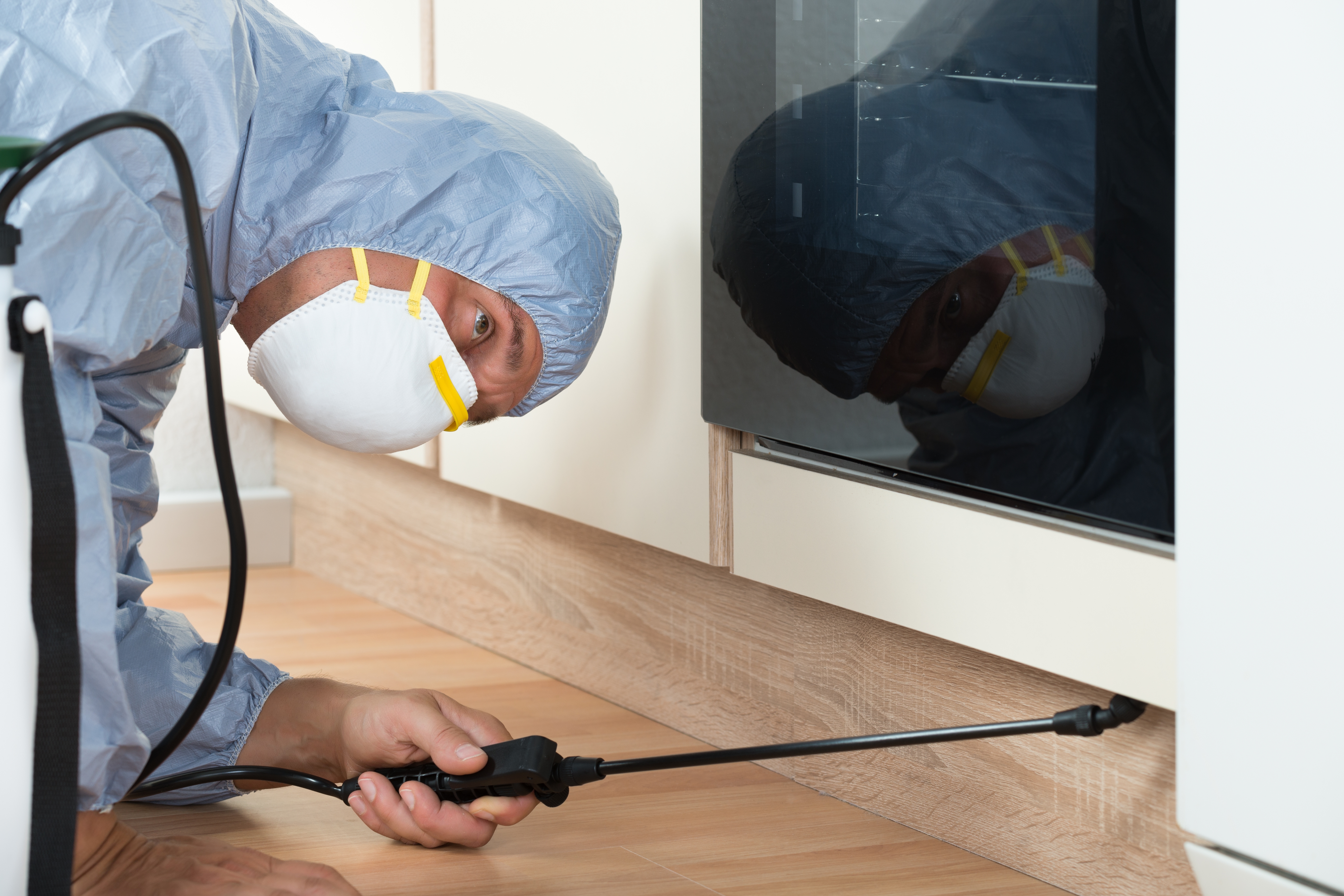 Desratización: Servicios de AGP Sanidad Ambiental Desratización: Servicios de AGP Sanidad Ambiental