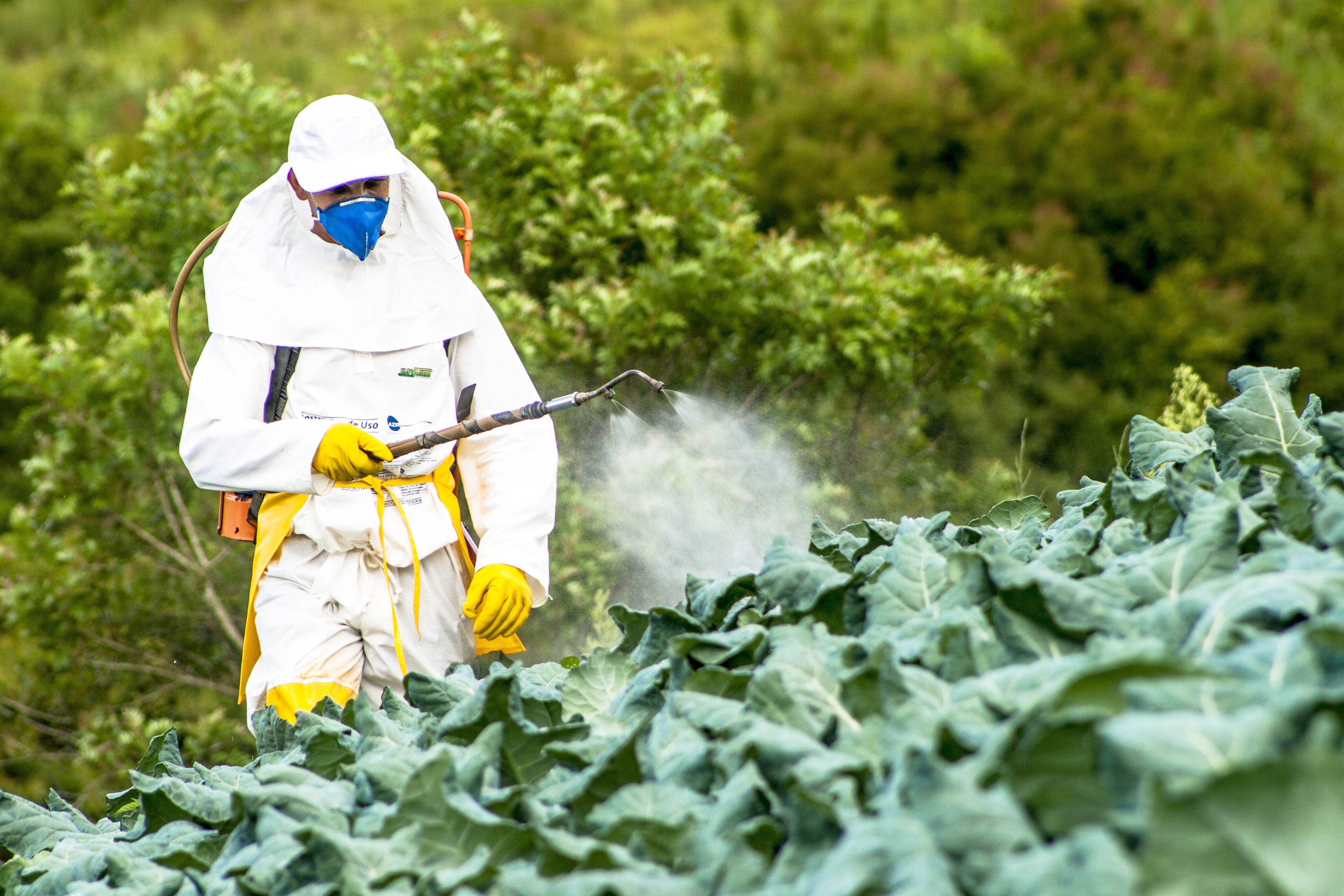 Tratamientos especiales: Servicios de AGP Sanidad Ambiental Tratamientos especiales: Servicios de AGP Sanidad Ambiental