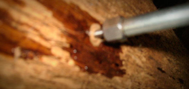 Tratamiento por inyección de la madera