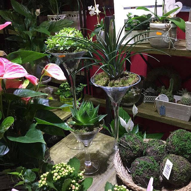Artículos de regalo: Servicios de El Jardín de Butarque Artículos de regalo: Servicios de El Jardín de Butarque
