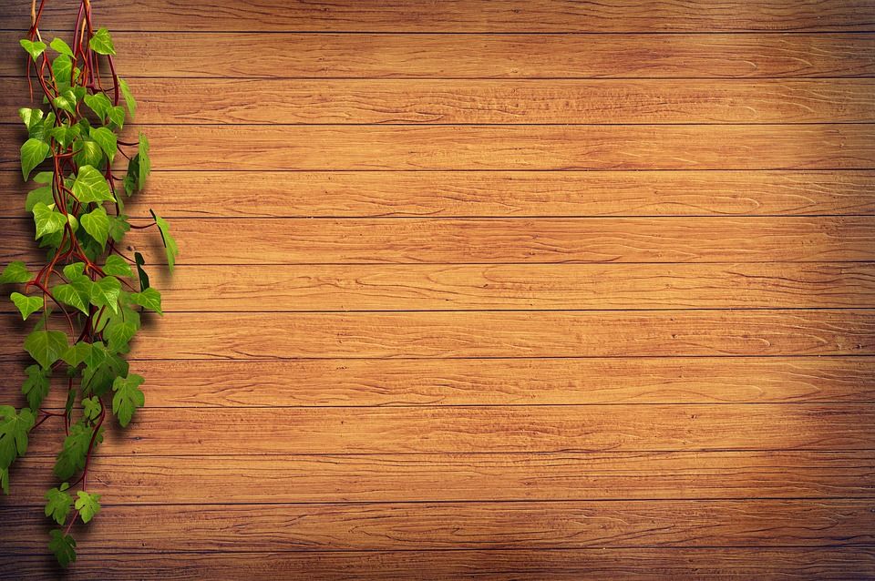 Montaje de pérgolas, tarimas y vallas: Servicios de Espais Naturals Montaje de pérgolas, tarimas y vallas: Servicios de Espais Naturals