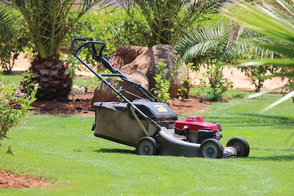 Diseño y mantenimiento de jardines: Servicios de Espais Naturals Diseño y mantenimiento de jardines: Servicios de Espais Naturals