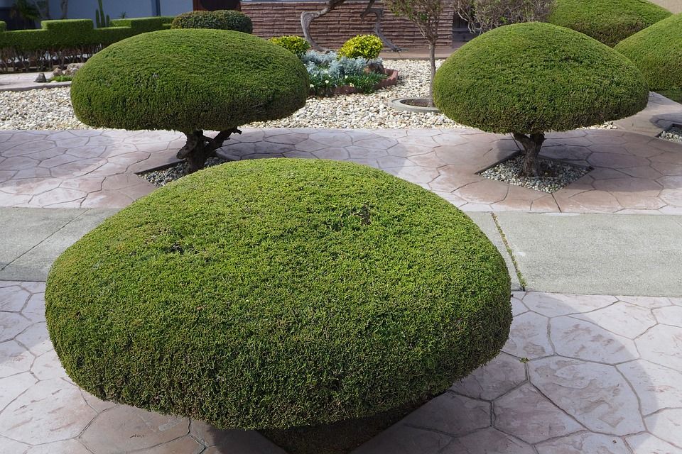 Podas y trabajos forestales: Servicios de Espais Naturals Podas y trabajos forestales: Servicios de Espais Naturals