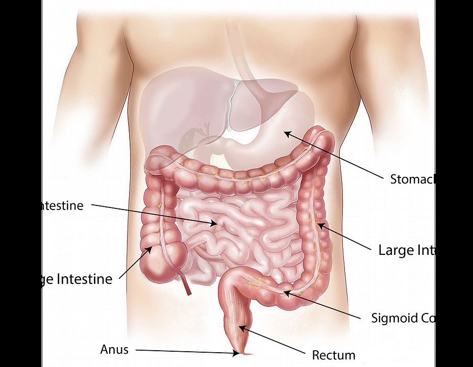Hidroterapia del colon: Servicios de Clínica Médica San Carlos Hidroterapia del colon: Servicios de Clínica Médica San Carlos