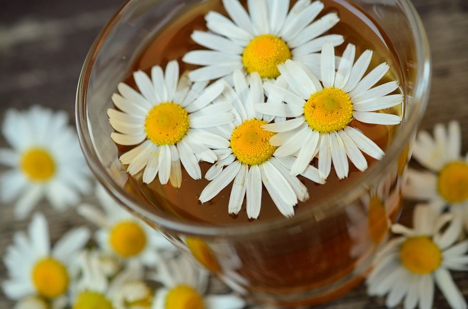 Tratamientos naturales: Servicios de Clínica Médica San Carlos Tratamientos naturales: Servicios de Clínica Médica San Carlos