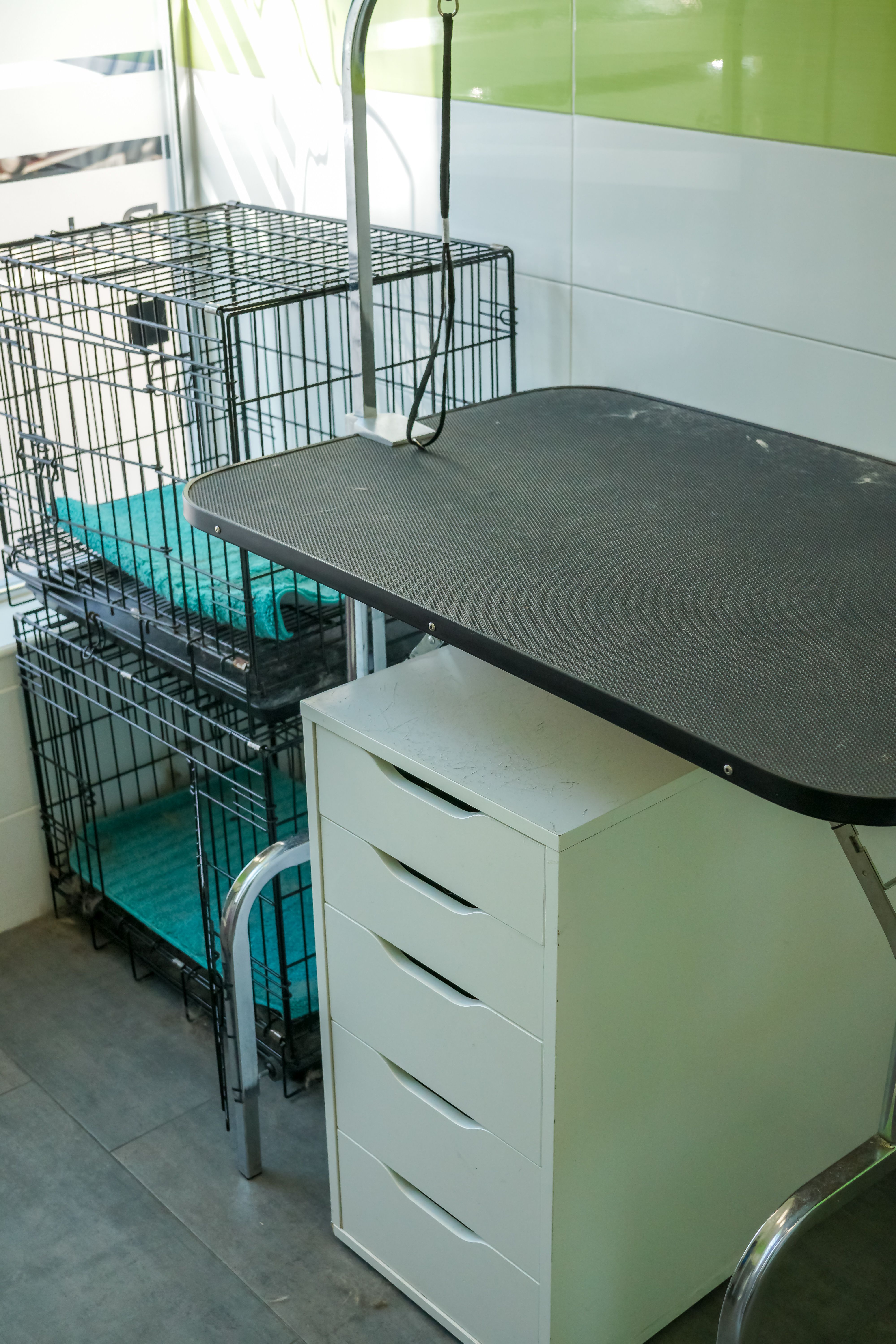 Foto 10 de Veterinarios en Fuenlabrada | Clínica Veterinaria Parque de los Estados Foto 10 de Veterinarios en Fuenlabrada | Clínica Veterinaria Parque de los Estados