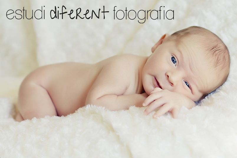 New Born: Servicios de Estudi Diferent New Born: Servicios de Estudi Diferent