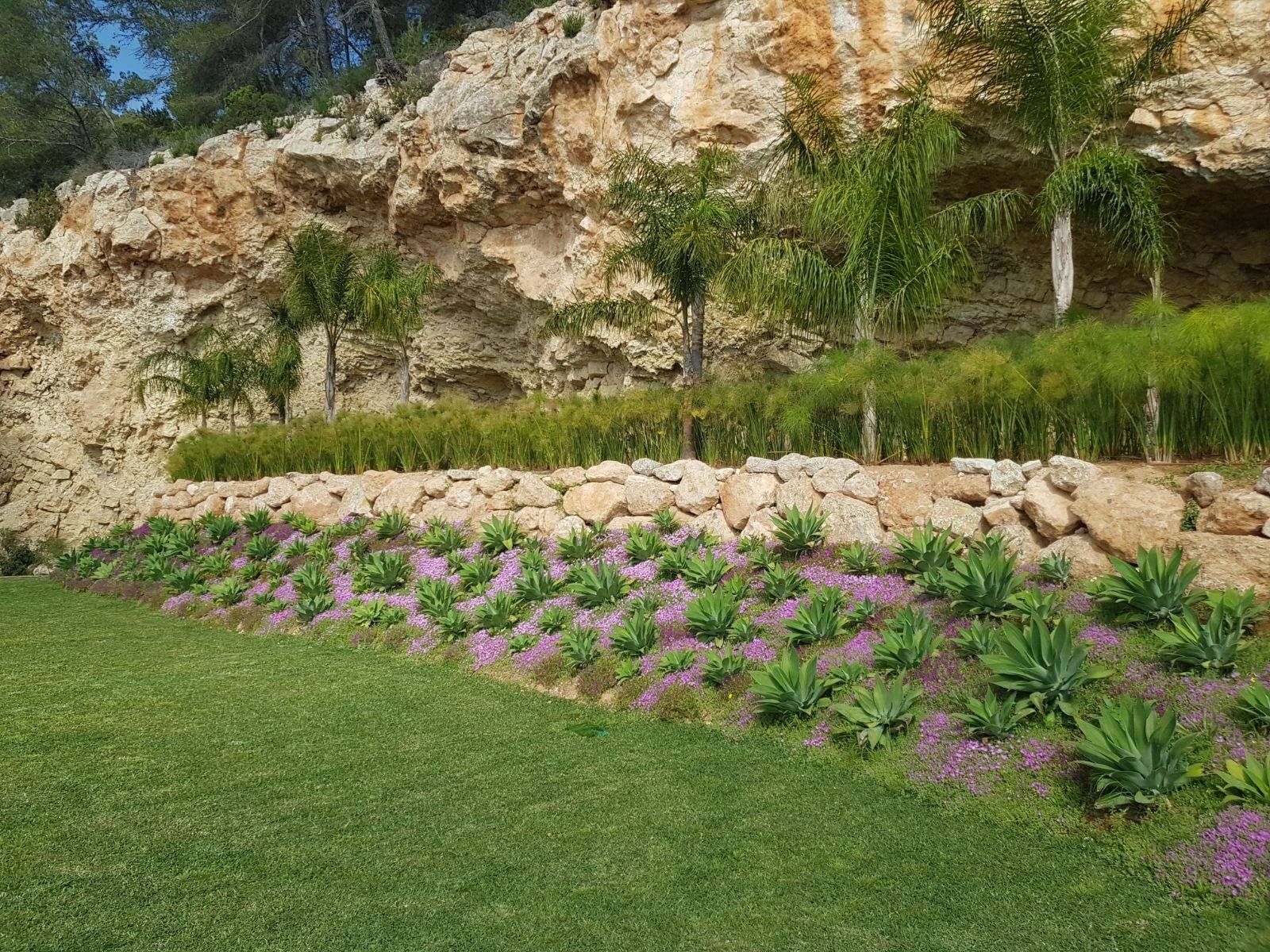 Mantenimiento: Productos y servicios de Eiviss Garden Mantenimiento: Productos y servicios de Eiviss Garden