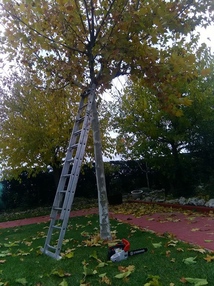 Mantenimientos de jardines: ¡Jardinería y mucho más! de SalvaJardin Mantenimientos de jardines: ¡Jardinería y mucho más! de SalvaJardin