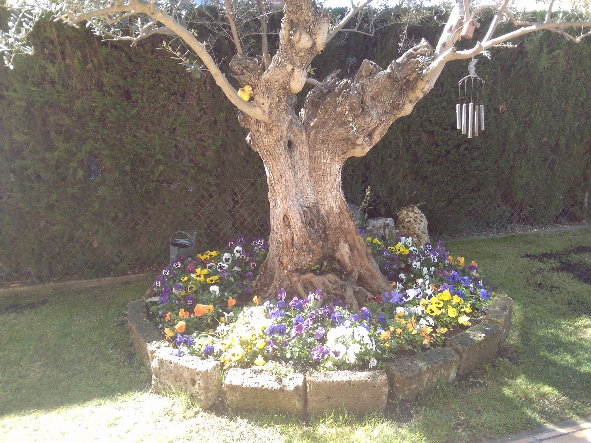 Podas y desbroces: ¡Jardinería y mucho más! de SalvaJardin Podas y desbroces: ¡Jardinería y mucho más! de SalvaJardin