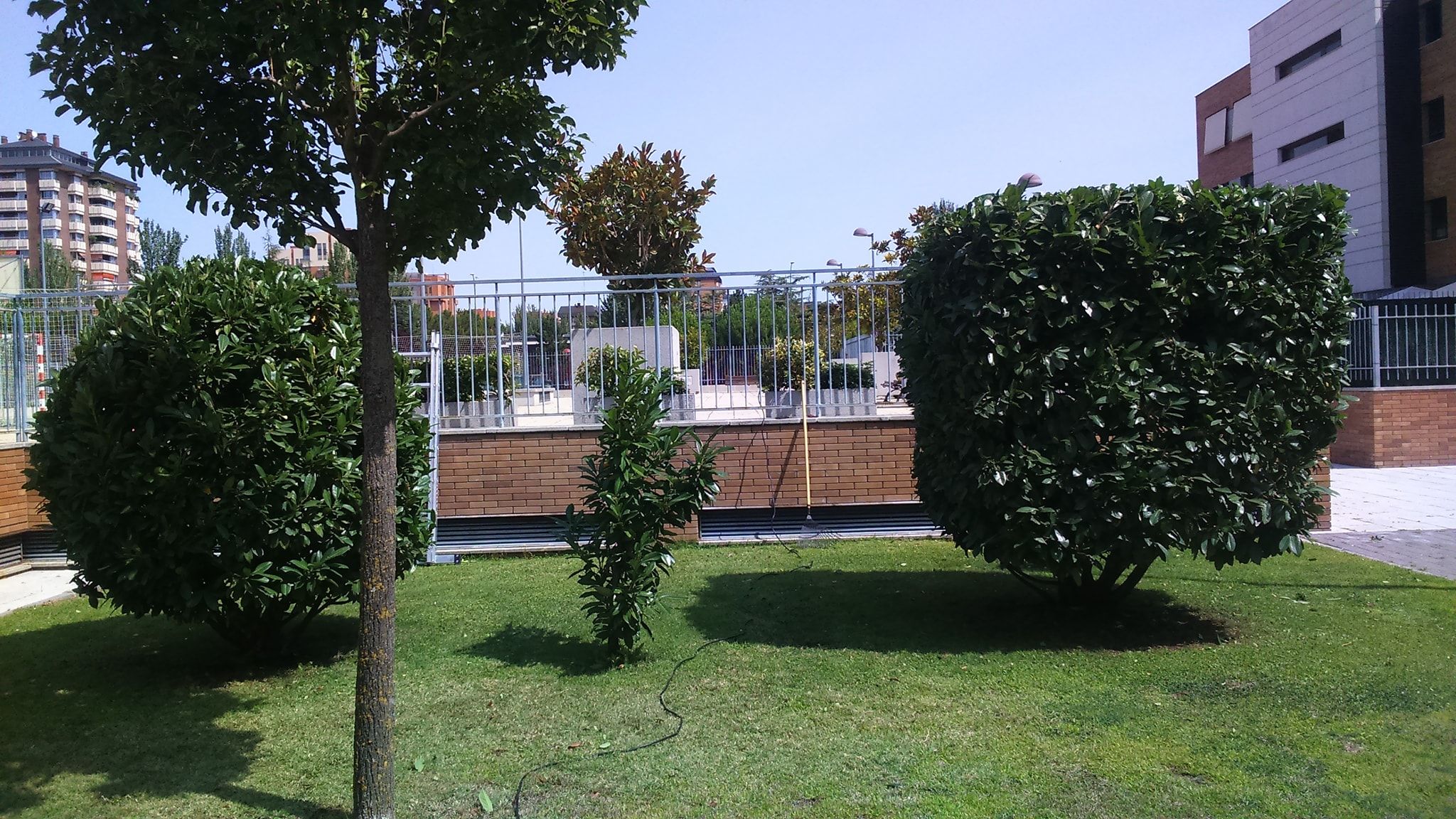 Mantenimientos de jardines: ¡Jardinería y mucho más! de SalvaJardin Mantenimientos de jardines: ¡Jardinería y mucho más! de SalvaJardin