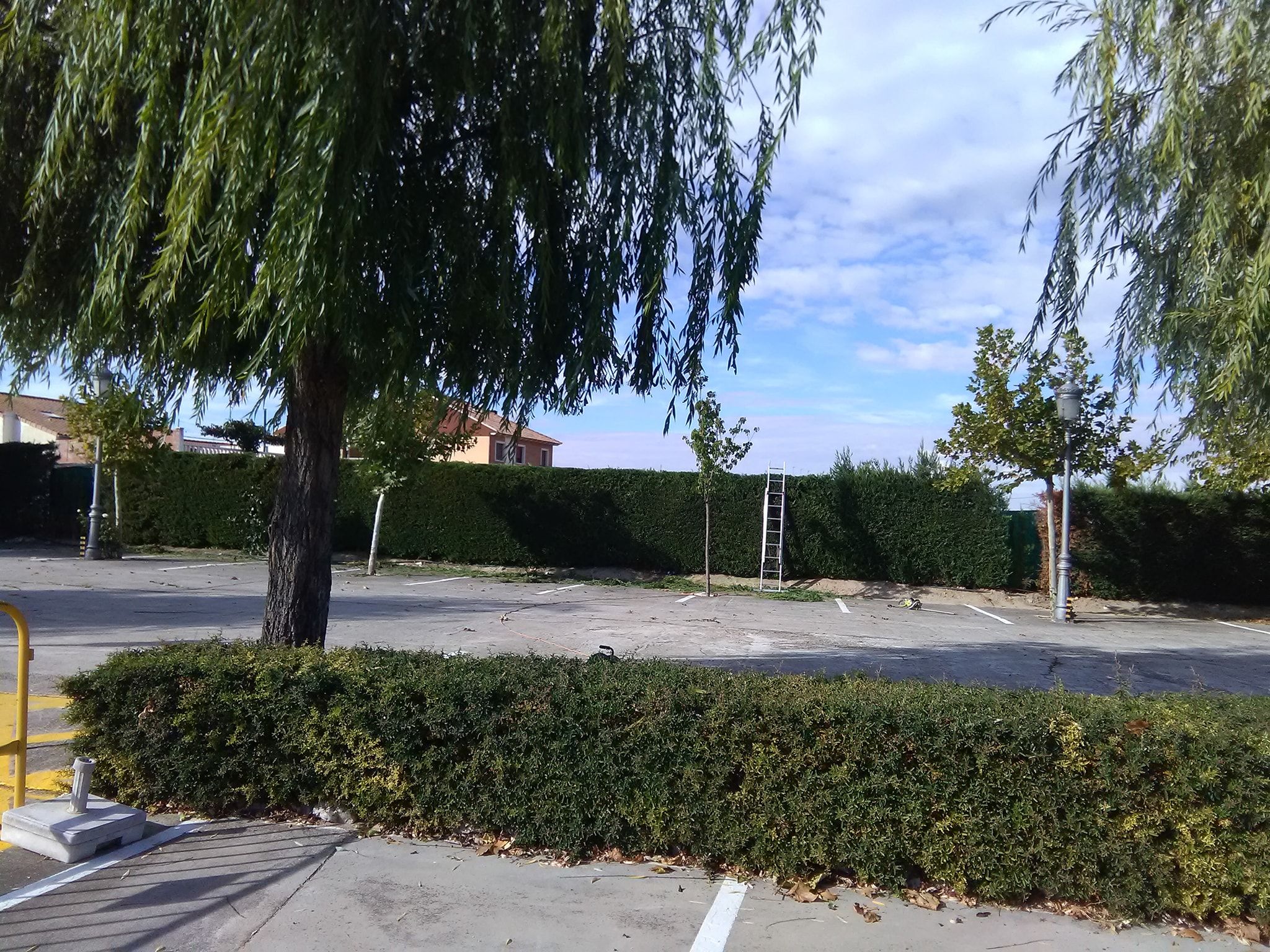Mantenimientos de jardines: ¡Jardinería y mucho más! de SalvaJardin Mantenimientos de jardines: ¡Jardinería y mucho más! de SalvaJardin
