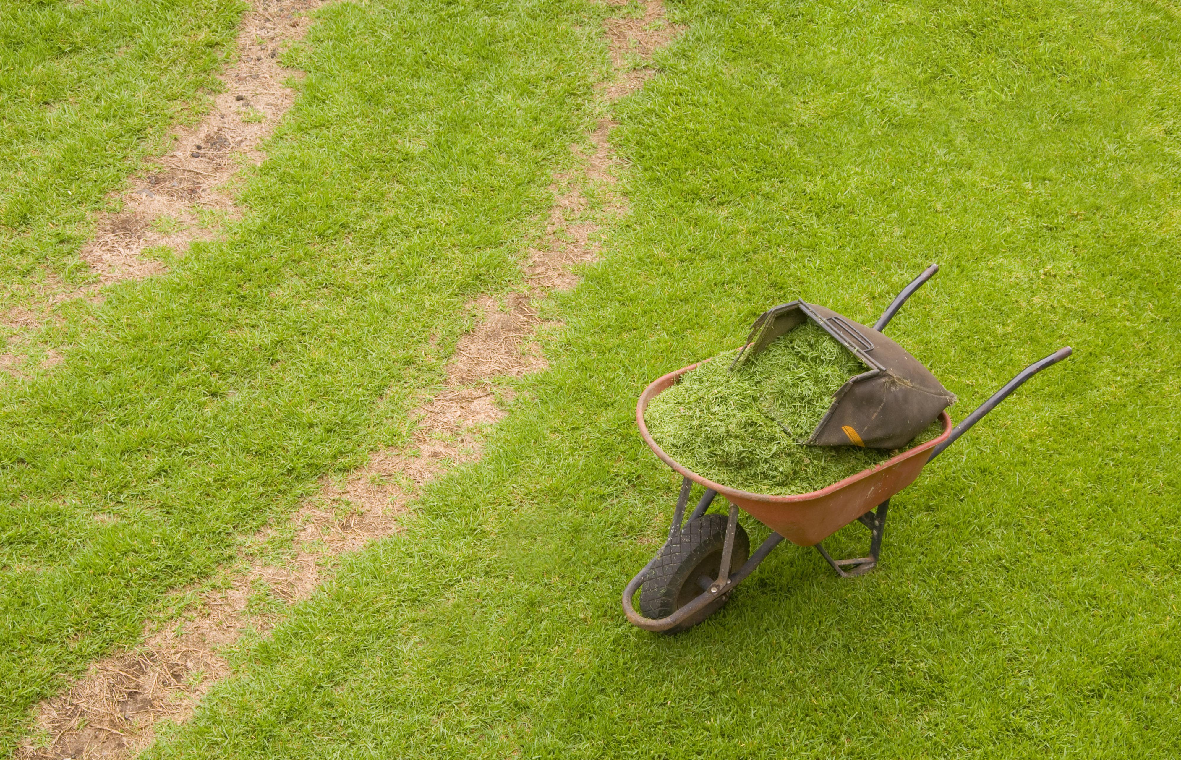 Jardinería: Servicios de Coiman Jardinería: Servicios de Coiman