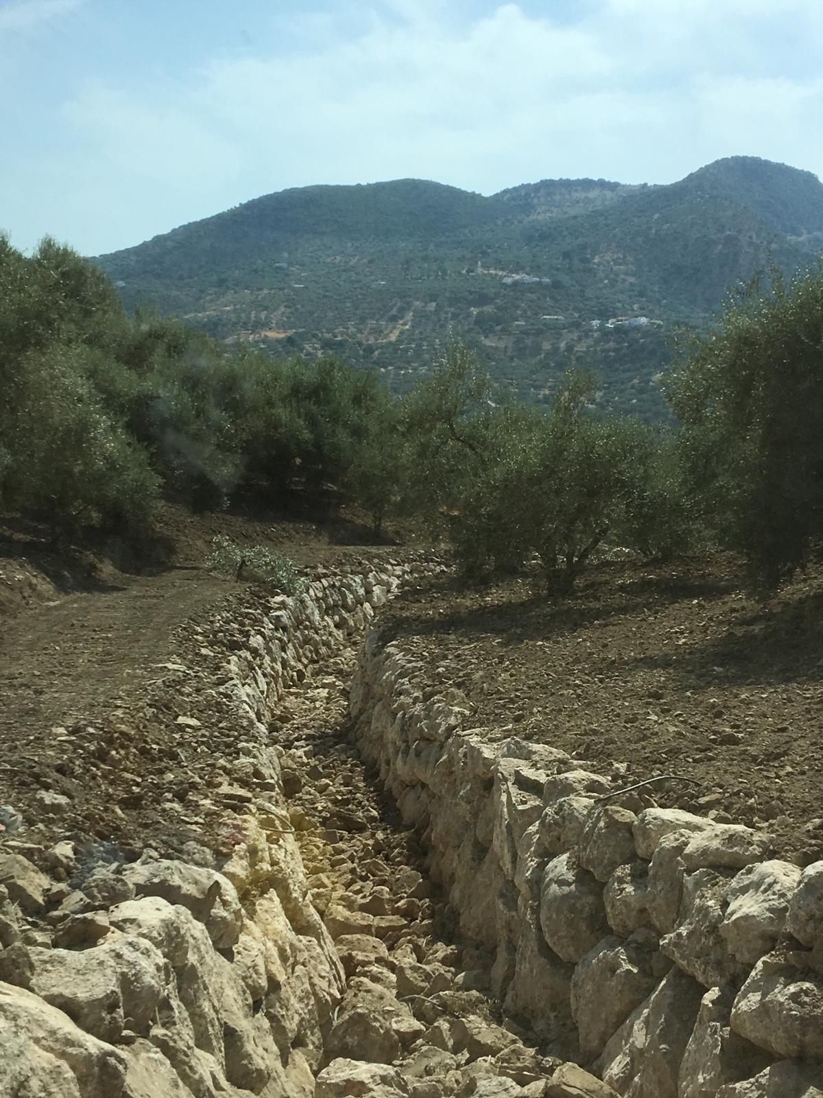 Excavaciones y movimientos de tierra