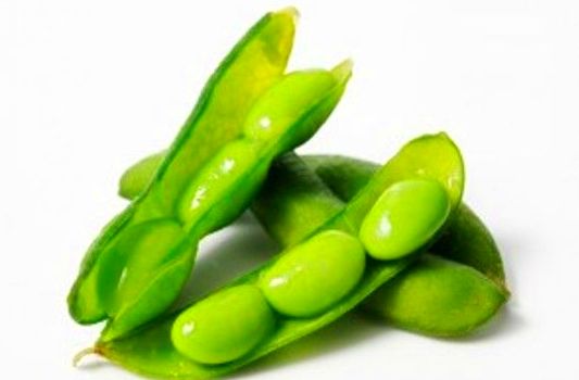 EDAMAME EDAMAME