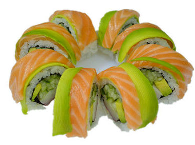DRAGON SALMÓN DRAGON SALMÓN