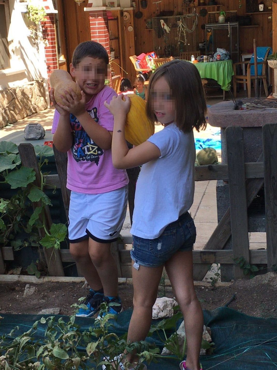 Un día en nuestra huerta: Actividades de Como mola Un día en nuestra huerta: Actividades de Como mola