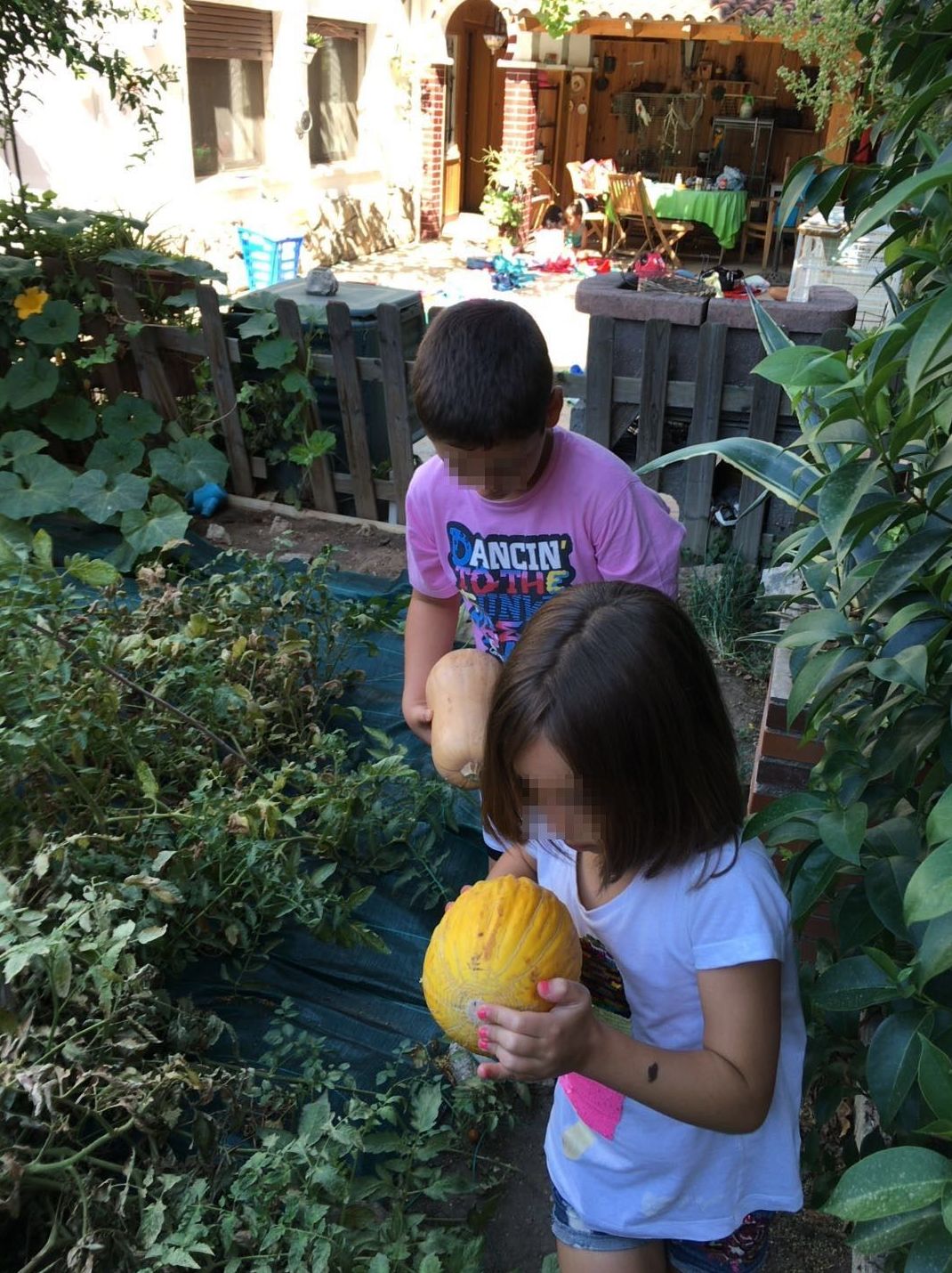 Un día en nuestra huerta: Actividades de Como mola Un día en nuestra huerta: Actividades de Como mola