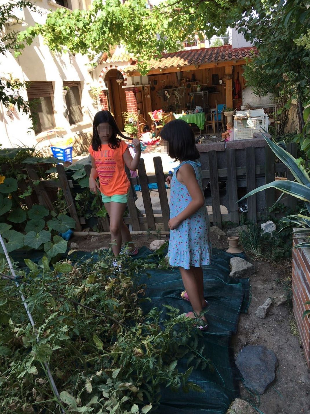 Un día en nuestra huerta: Actividades de Como mola Un día en nuestra huerta: Actividades de Como mola