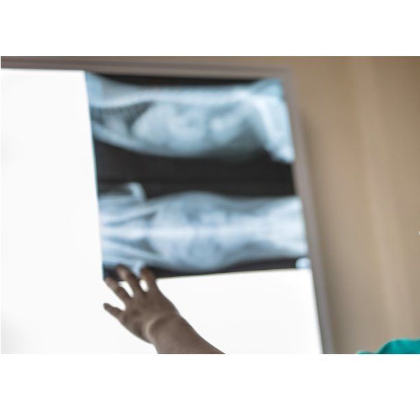 Diagnóstico por imagen: Servicios de Clínica Veterinaria Servet Diagnóstico por imagen: Servicios de Clínica Veterinaria Servet