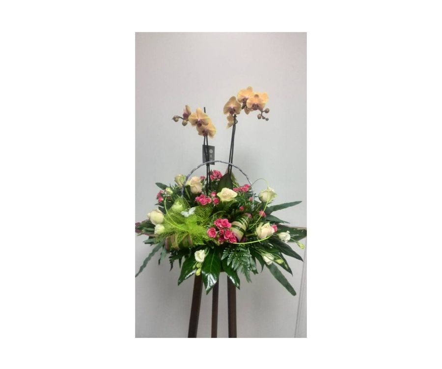 Centro floral decorativo con orquídea: Catálogo de FLORISTERÍA JOMACO Tanatorio As Burgas Centro floral decorativo con orquídea: Catálogo de FLORISTERÍA JOMACO Tanatorio As Burgas
