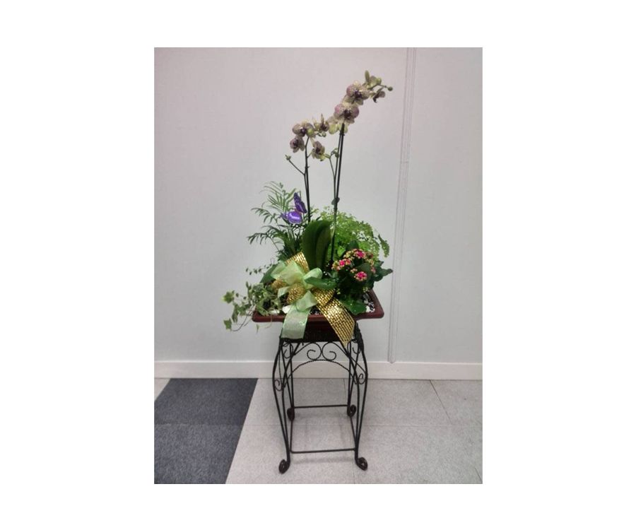 Centro decorativo plantas naturales: Catálogo de FLORISTERÍA JOMACO Tanatorio As Burgas Centro decorativo plantas naturales: Catálogo de FLORISTERÍA JOMACO Tanatorio As Burgas