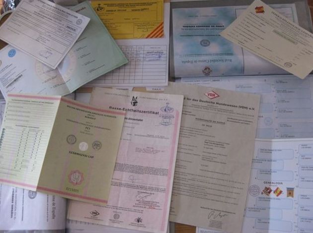 Asesoramiento y tramitación de documentación canina: Servicios de Piolcan Adiestramiento Canino y Centro de formación Asesoramiento y tramitación de documentación canina: Servicios de Piolcan Adiestramiento Canino y Centro de formación