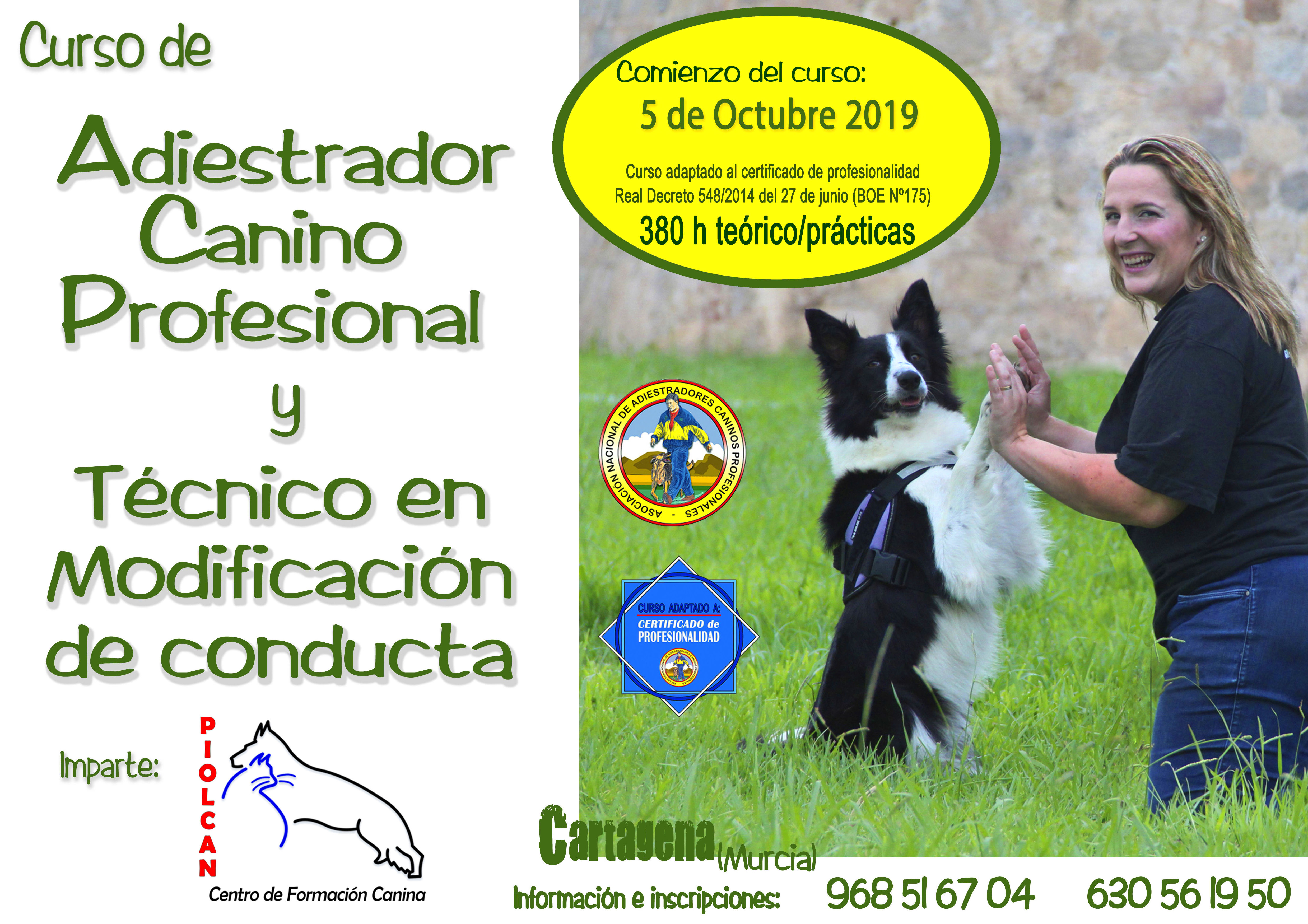 Seminarios y Cursos de formación Canina: Servicios de Piolcan Adiestramiento Canino y Centro de formación Seminarios y Cursos de formación Canina: Servicios de Piolcan Adiestramiento Canino y Centro de formación
