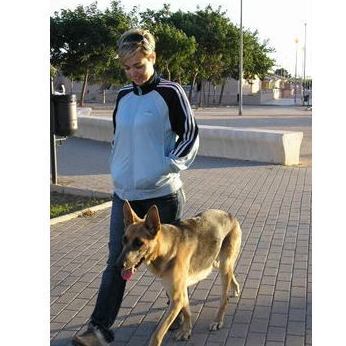 Adiestramiento y Modificación de conductas en perros: Servicios de Piolcan Adiestramiento Canino y Centro de formación Adiestramiento y Modificación de conductas en perros: Servicios de Piolcan Adiestramiento Canino y Centro de formación