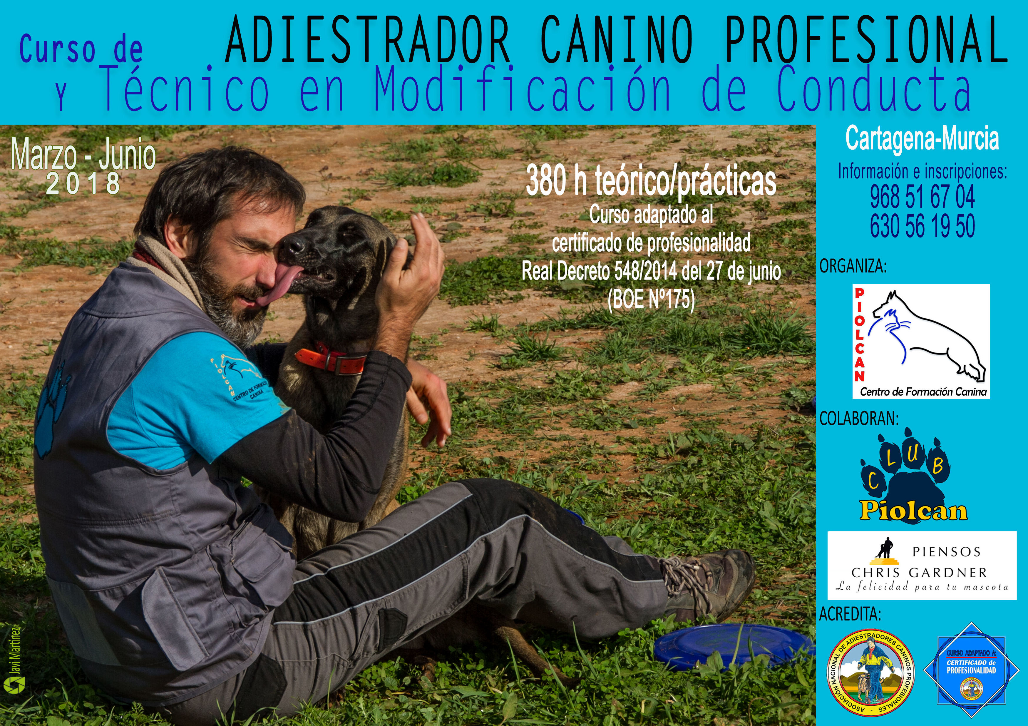 Seminarios y Cursos de formación Canina: Servicios de Piolcan Adiestramiento Canino y Centro de formación Seminarios y Cursos de formación Canina: Servicios de Piolcan Adiestramiento Canino y Centro de formación