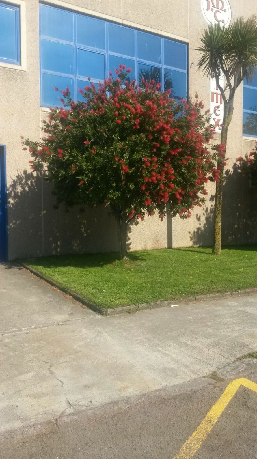 Mantenimiento de jardines: Servicios de Jardinería IGLE-MAN Mantenimiento de jardines: Servicios de Jardinería IGLE-MAN